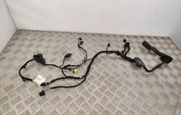 Front door wiring loom