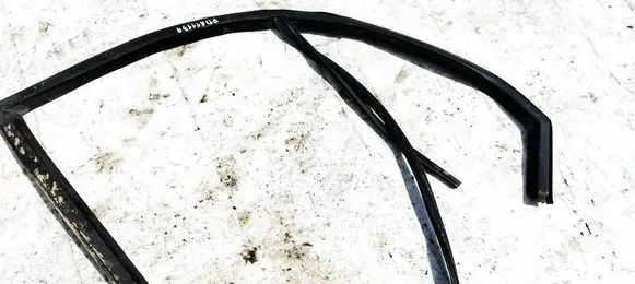 Renault Scenic II - Grand scenic II Front door glass trim molding