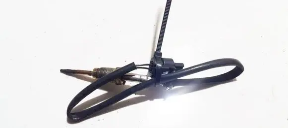 Exhaust gas temperature sensor