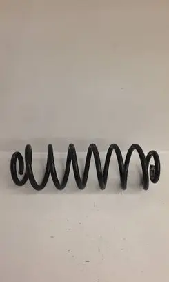 Rear coil spring