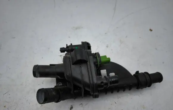 Thermostat/thermostat housing