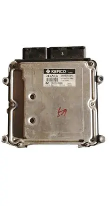 Hyundai Santa Fe Engine control unit/module ECU