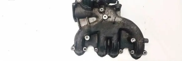 Volkswagen PASSAT B5.5 Intake manifold 038129113BM