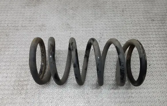 Hyundai Santa Fe Rear coil spring