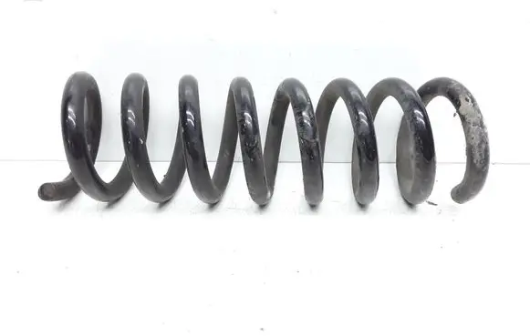 Rear coil spring