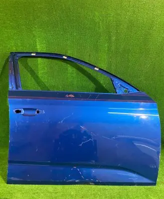 Skoda Scala Front door