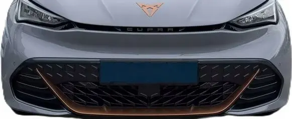Cupra Born Front shock absorber/damper 