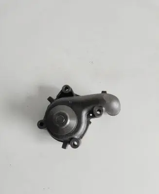 Ford Escort Water pump 4250093402274 WP3243