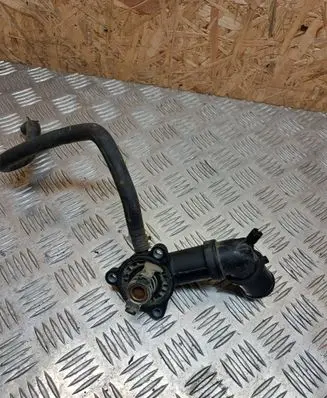 Thermostat/thermostat housing