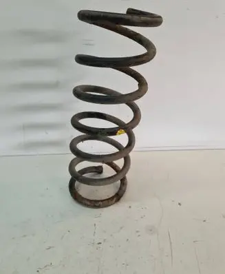 Rear coil spring