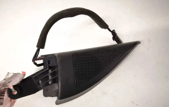 Front door speaker