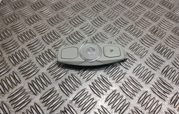 Rear seat light