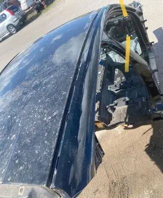 BMW 1 F40 Roof 