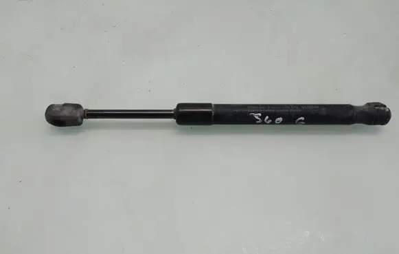 Tailgate/trunk strut/damper