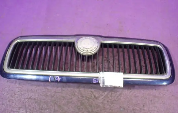 Front bumper upper radiator grill