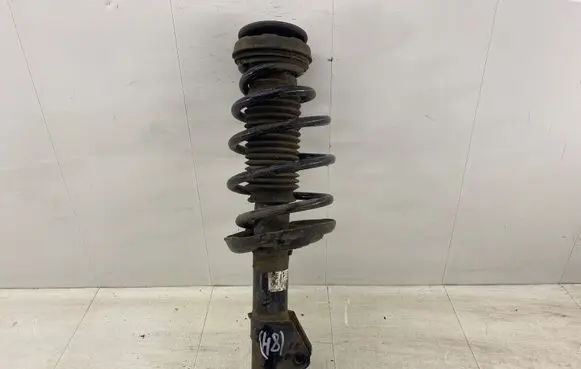 Opel Insignia A Front shock absorber with coil spring 13245966