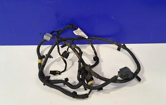 Other wiring loom