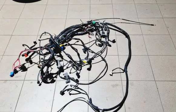 Renault Scenic III - Grand scenic III Other wiring loom 403880261R