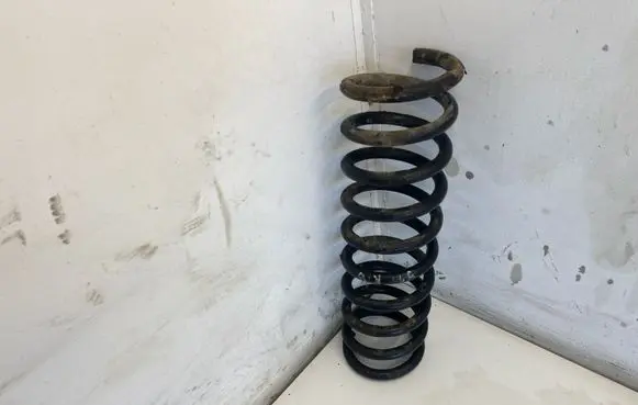 Ford Focus Rear coil spring 