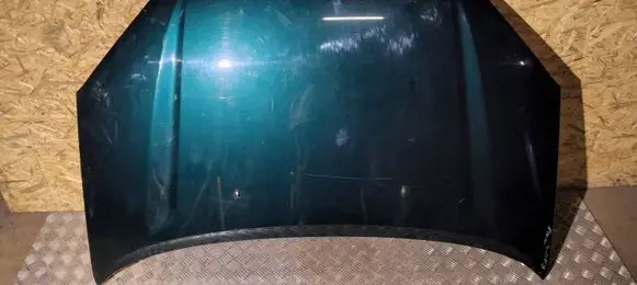 Toyota RAV 4 (XA20) Engine bonnet/hood