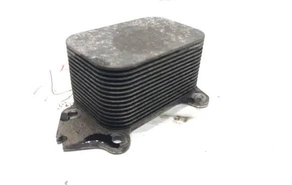 Ford Transit - Tourneo Connect Engine oil radiator 