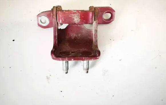 Rear door lower hinge