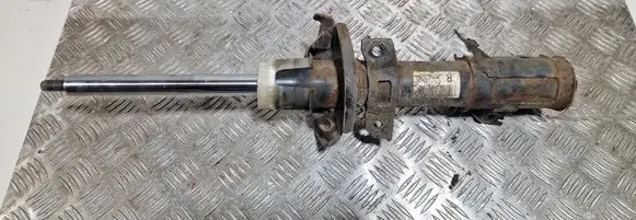 Ford B-MAX Front shock absorber/damper AP3118045AF