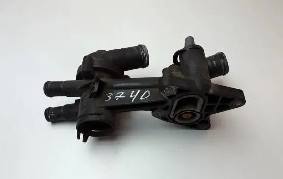 Thermostat/thermostat housing