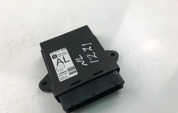 Opel Signum Other control units/modules 13111456
