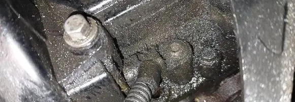 Ford Focus Camshaft position sensor 