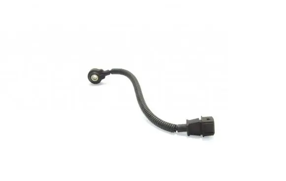KIA Carnival Detonation knock sensor Nra