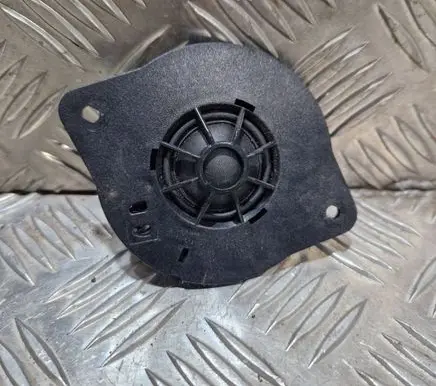 Panel speaker