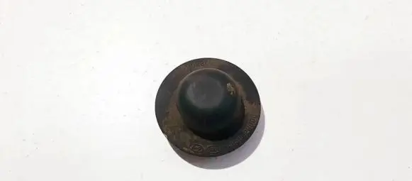 Coil spring mount