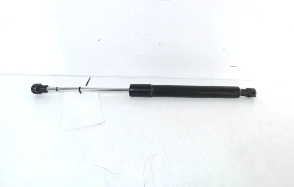 Tailgate strut