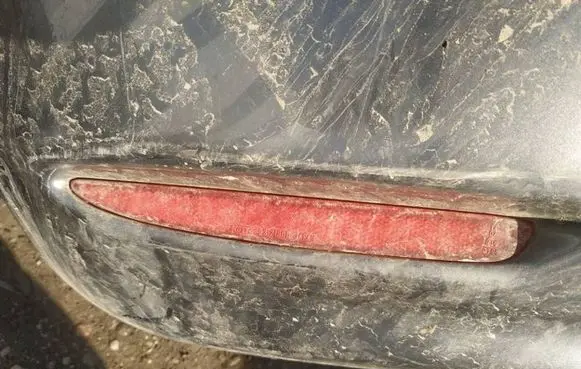 Rear tail light reflector