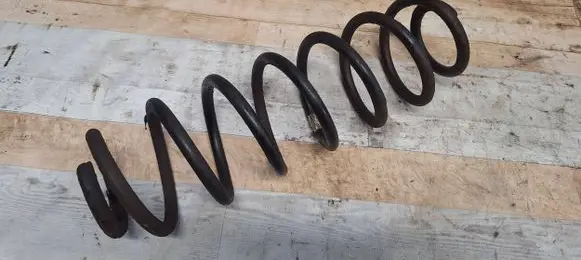 Volkswagen Fox Rear coil spring