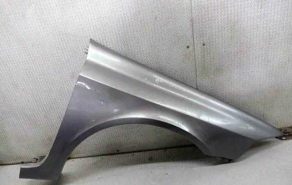 Renault Laguna II Fender