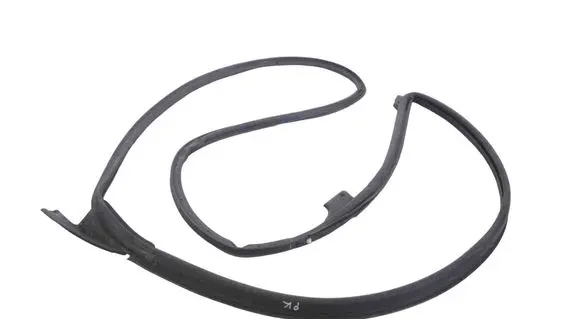 Infiniti FX Rubber seal front coupe door 2F182226