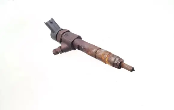 Renault Scenic II - Grand scenic II Fuel injector 8200100272 0445110110 0445110110B