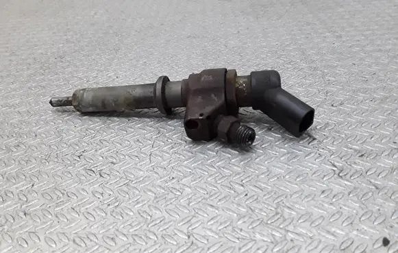 Citroen Berlingo Fuel injector 9652173780