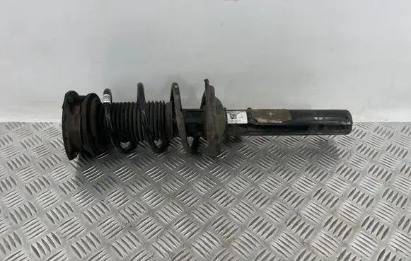 Volkswagen Tiguan Front shock absorber with coil spring 5QF412021PT 170119