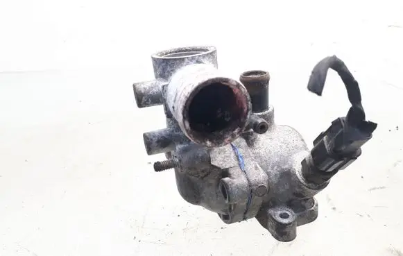 Thermostat/thermostat housing