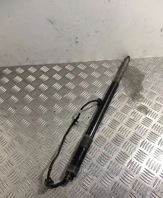 Tailgate strut
