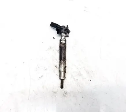 Mercedes-Benz CLS C219 Fuel injector a6420701387