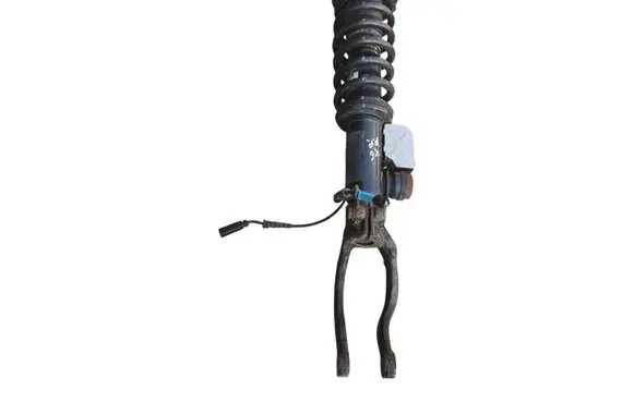 BMW X6 E71 Front shock absorber/damper 6785402