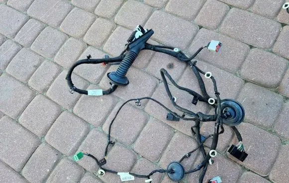 Opel Insignia B Front door wiring loom 39133606