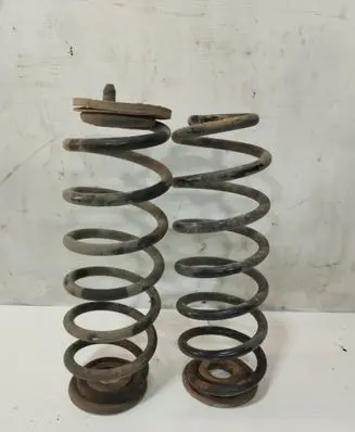 Volkswagen PASSAT B6 Rear coil spring