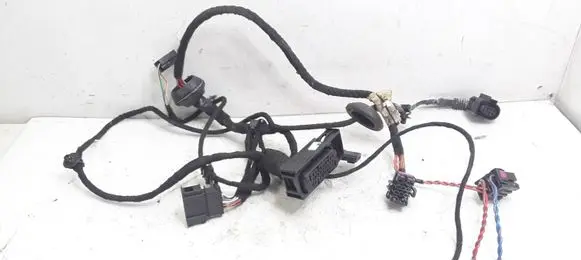 Volkswagen PASSAT B5.5 Front door wiring loom