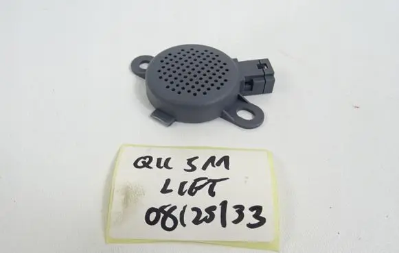 Nissan Qashqai Front door speaker 256506024r