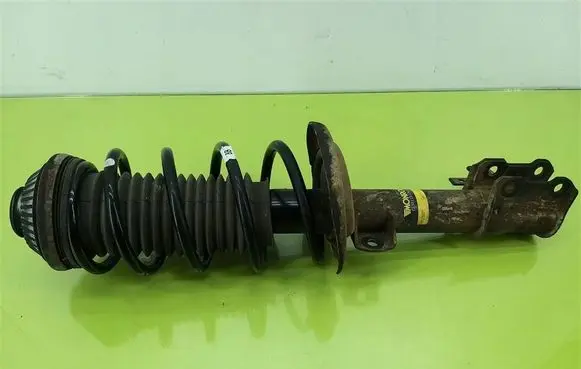 Opel Astra H Front shock absorber with coil spring G8001R